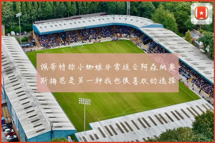 佩蒂特称小蜘蛛非常适合阿森纳奥斯梅恩是另一种我也很喜欢的选择