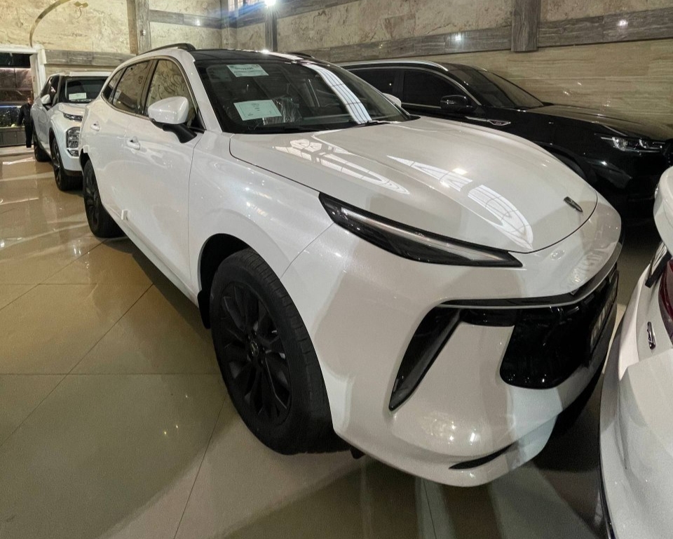 انتخاب کنید | لاماری ایما